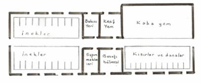 20 ba?l?k süt s???r? ah?r? plan?